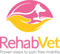 RehabVet